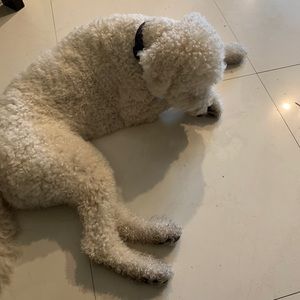 Meet your Posher, Ethan